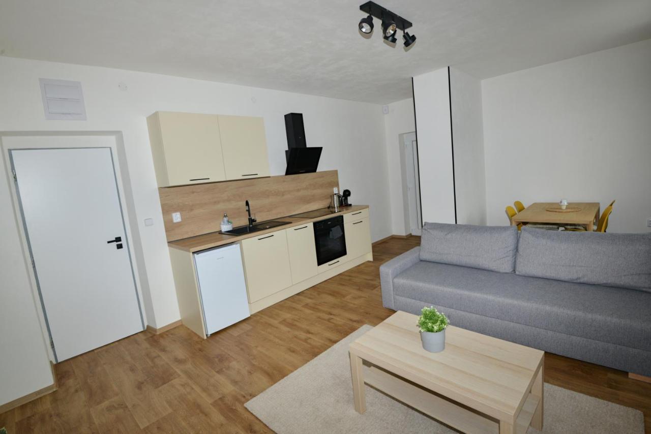 Apartmány u Pešlů Zelezna Ruda Exterior foto