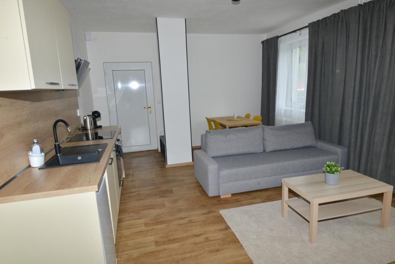 Apartmány u Pešlů Zelezna Ruda Exterior foto